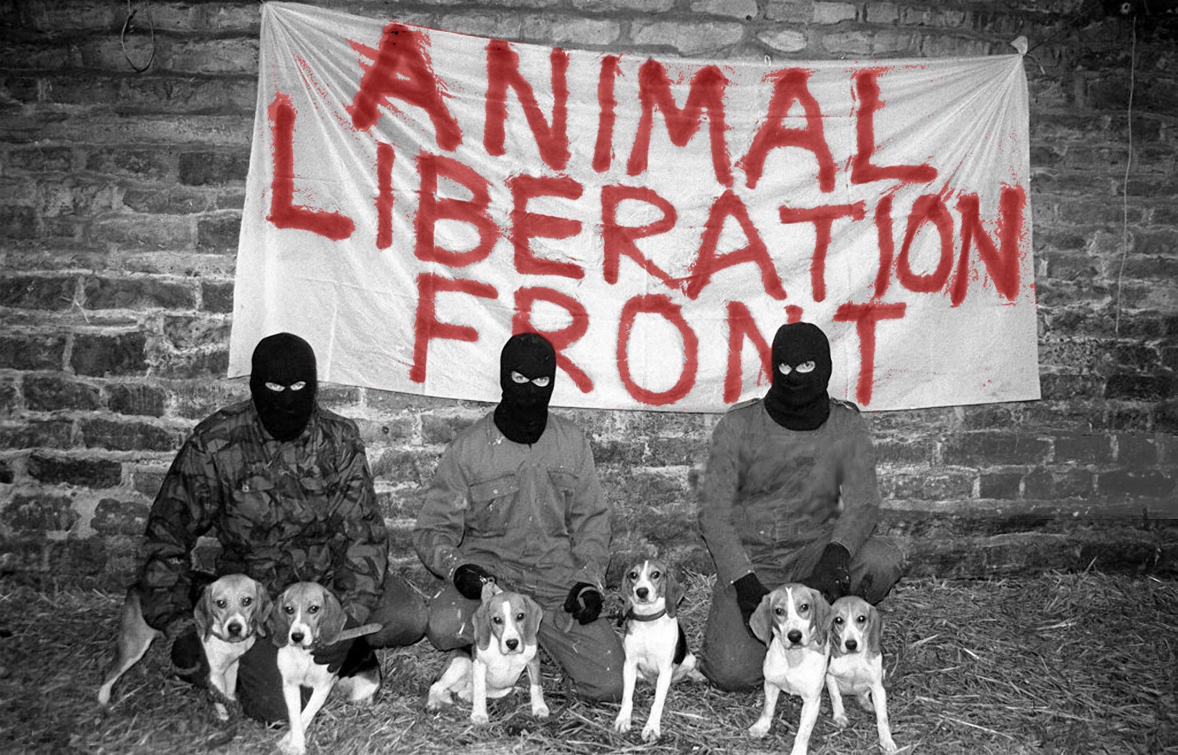 ALF – THE NORTH RIDING PROJECT